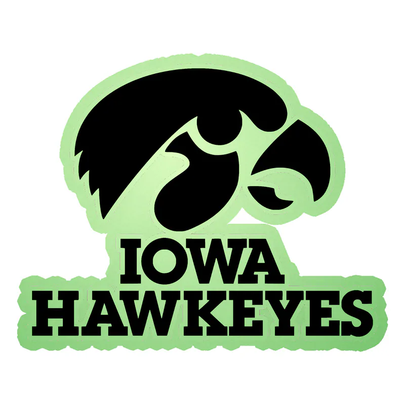 Iowa Hawkeyes - Black Hawk with Lettering - Glow in the Dark Vinyl Decal - Custom Size