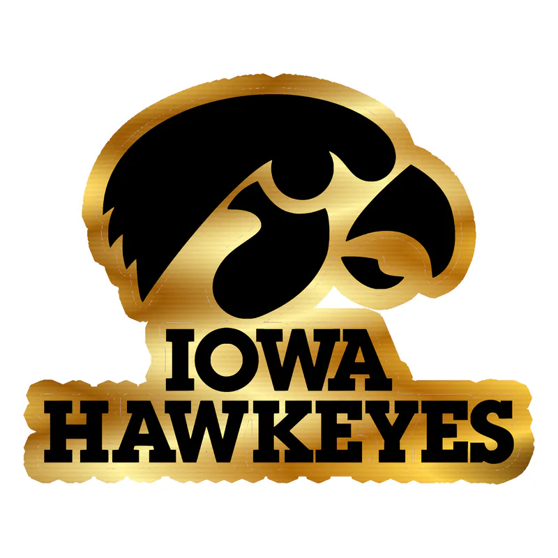 Iowa Hawkeyes - Black Hawk with Lettering - Gold Chrome Vinyl Decal - Custom Size