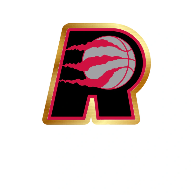 Toronto Raptors - Image 9 - Gold Chrome Vinyl Sticker - Custom Size