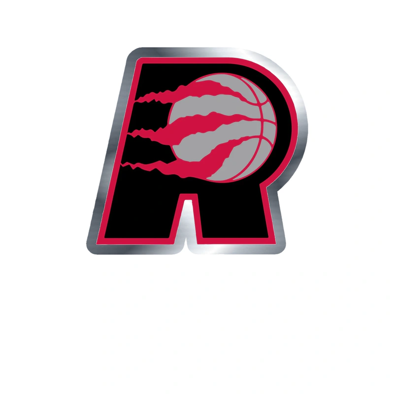 Toronto Raptors - Image 9 - Silver Chrome Vinyl Sticker - Custom Size