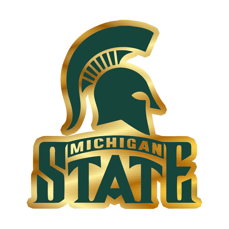 Michigan State Spartans- Helmet with Logo Name- Gold Chrome Vinyl Decal - Custom Size