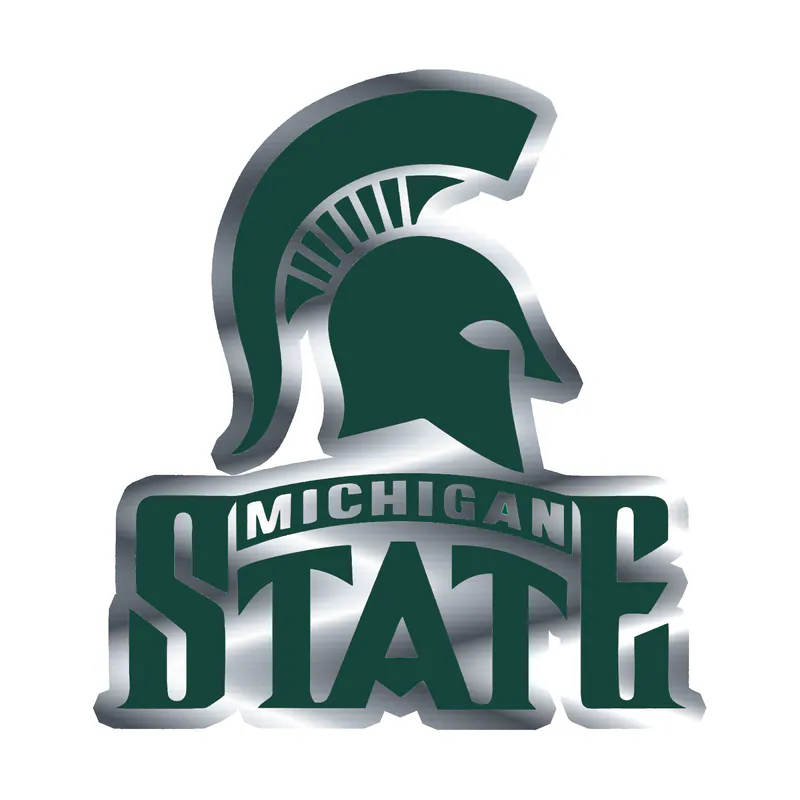Michigan State Spartans- Helmet with Logo Name- Silver Chrome Vinyl Decal - Custom Size