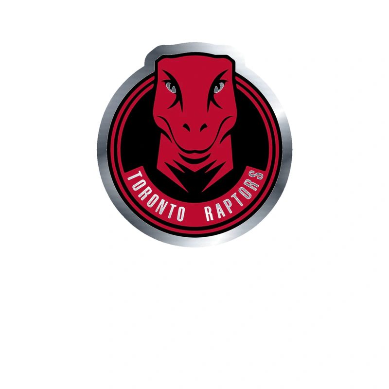 Toronto Raptors - Image 1 - Silver Chrome Vinyl Sticker - Custom Size