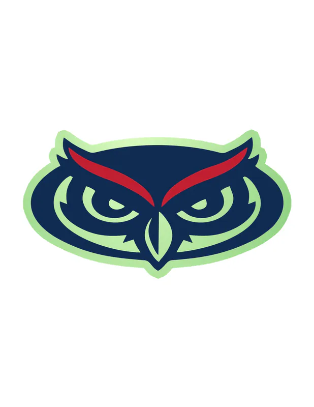 Florida Atlantic Owls - Image 1 - Glow in the Dark Vinyl Decal - Custom Size