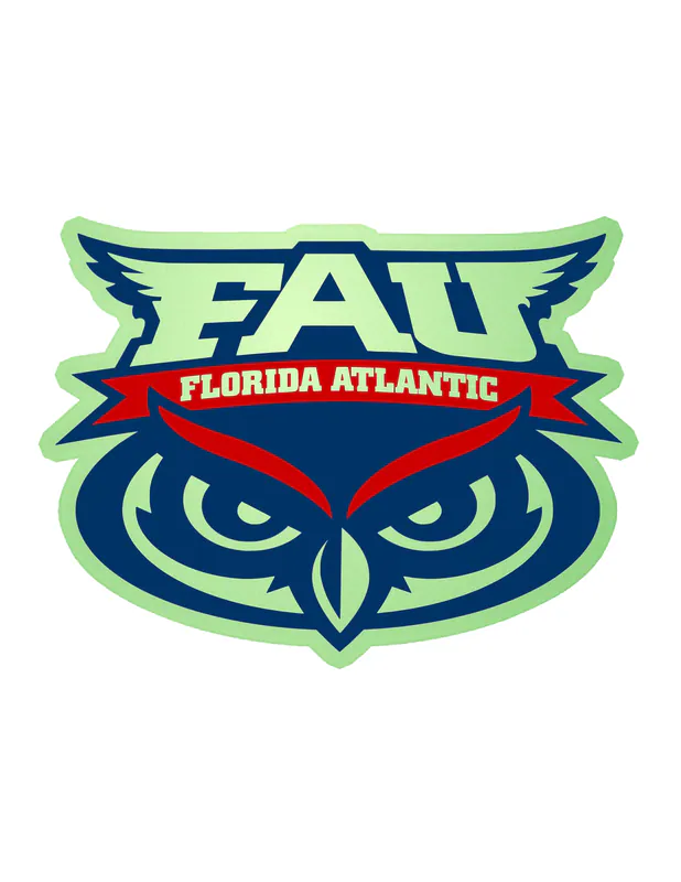 Florida Atlantic Owls - Image 2 - Glow in the Dark Vinyl Decal - Custom Size