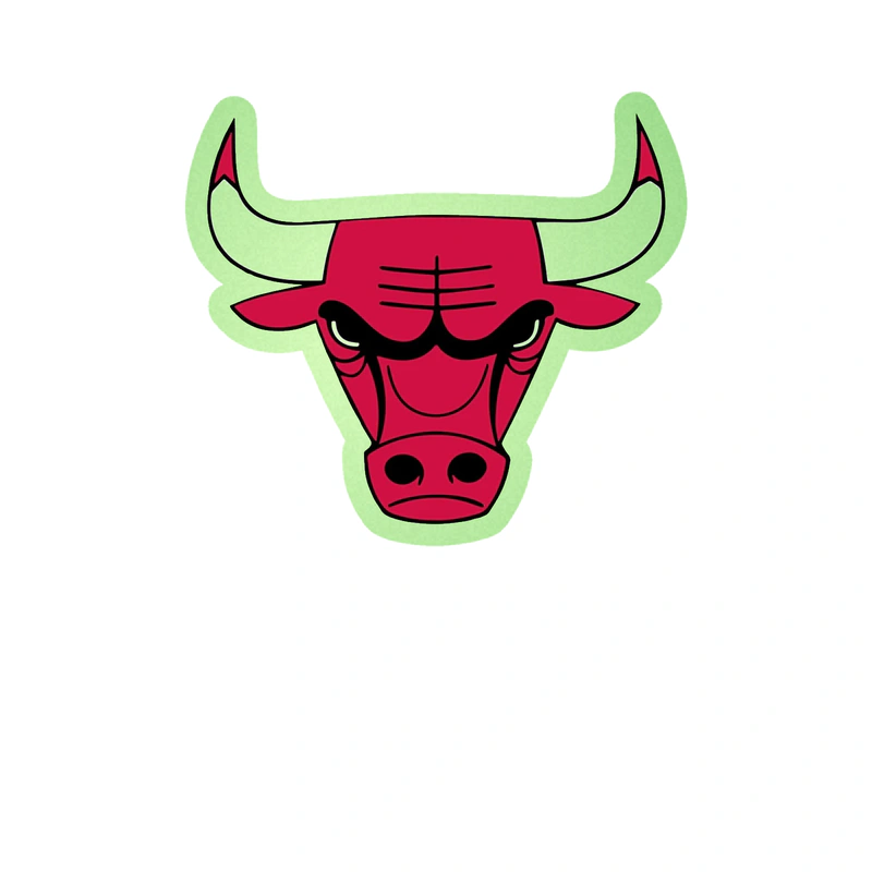 Chicago Bulls - Bull Head - Glow in the Dark Vinyl Sticker - Custom Size