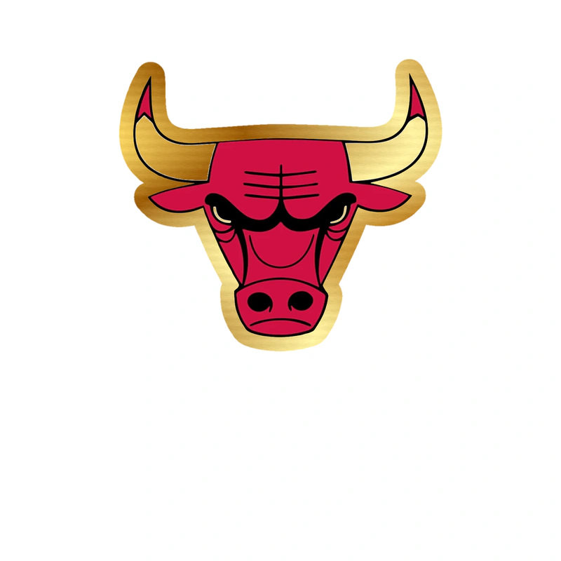 Chicago Bulls - Bull Head - Gold Chrome Vinyl Sticker - Custom Size