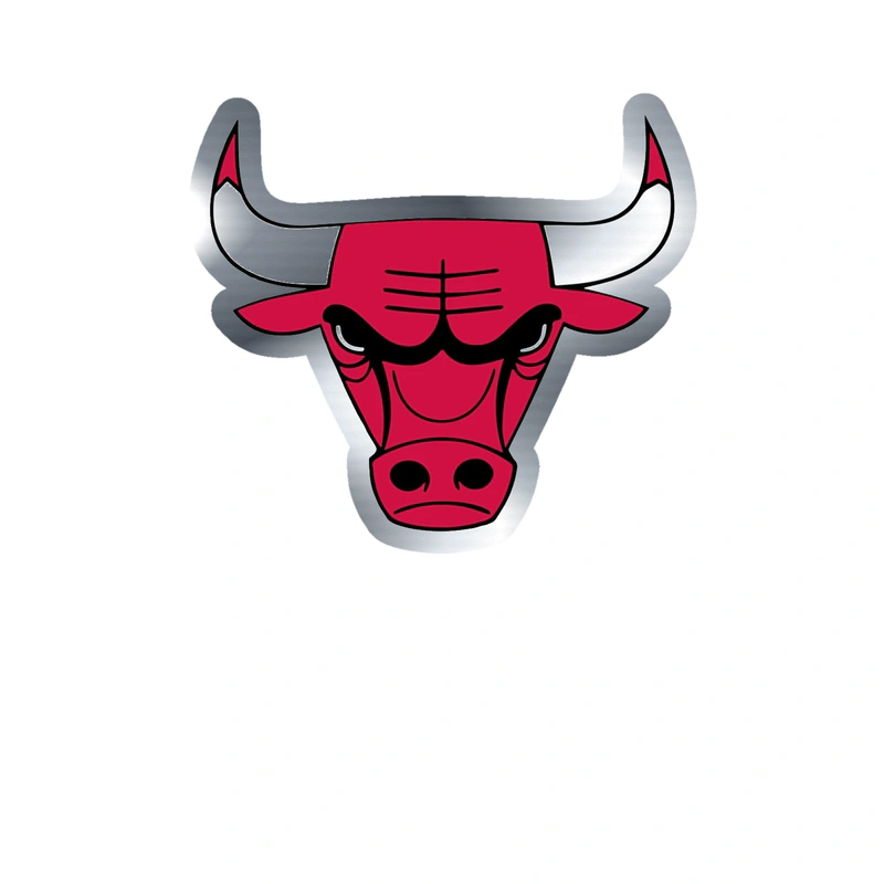 Chicago Bulls - Bull Head - Silver Chrome Vinyl Sticker - Custom Size