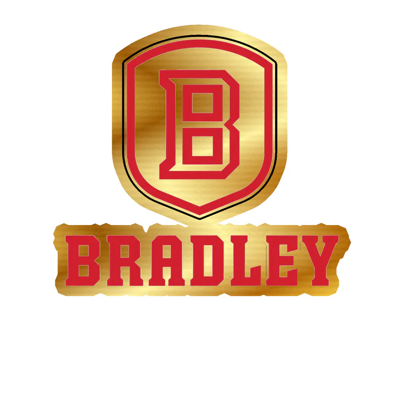 Bradley Braves - Image 1 - Gold Chrome Vinyl Decal - Custom Size