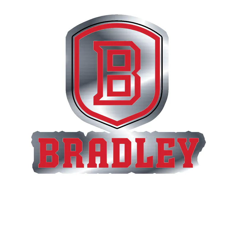 Bradley Braves - Image 1 - Silver Chrome Vinyl Decal - Custom Size