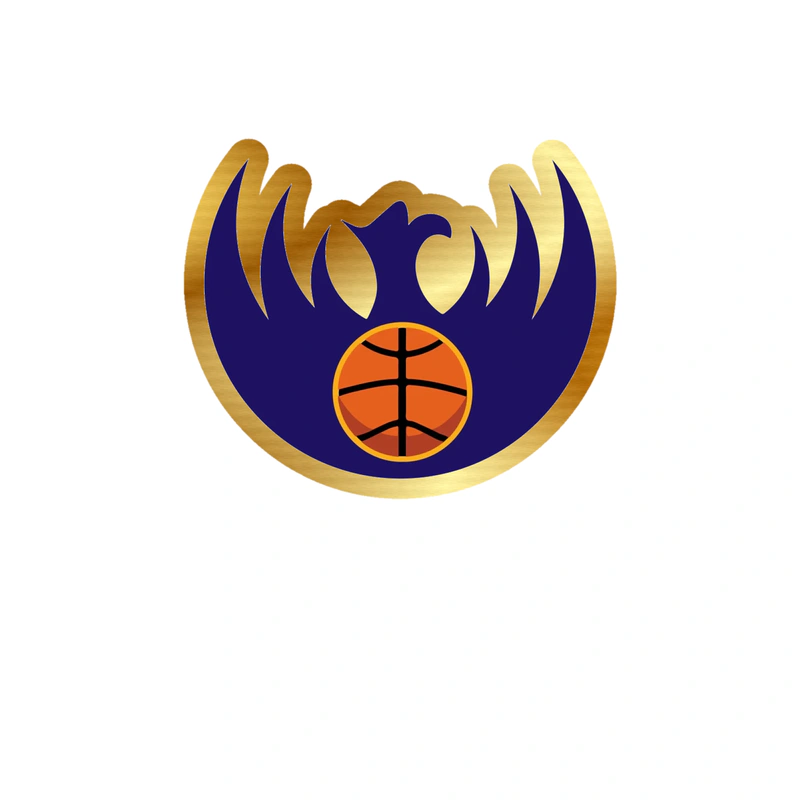 Phoenix Suns - Image 6 - Gold Chrome Vinyl Sticker - Custom Size