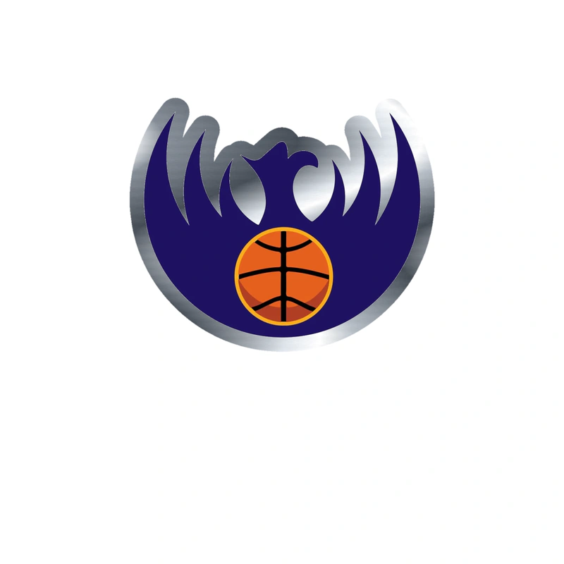 Phoenix Suns - Image 6 - Silver Chrome Vinyl Sticker - Custom Size