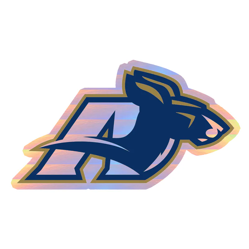 Akron Zips - Image 3 - Holographic Vinyl Decal - Custom Size