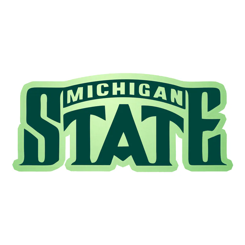 Michigan State Spartans- Logo Name-  Glow in the Dark Vinyl Decal - Custom Size