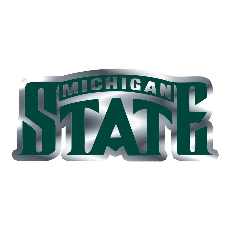 Michigan State Spartans- Logo Name-  Silver Chrome Vinyl Decal - Custom Size