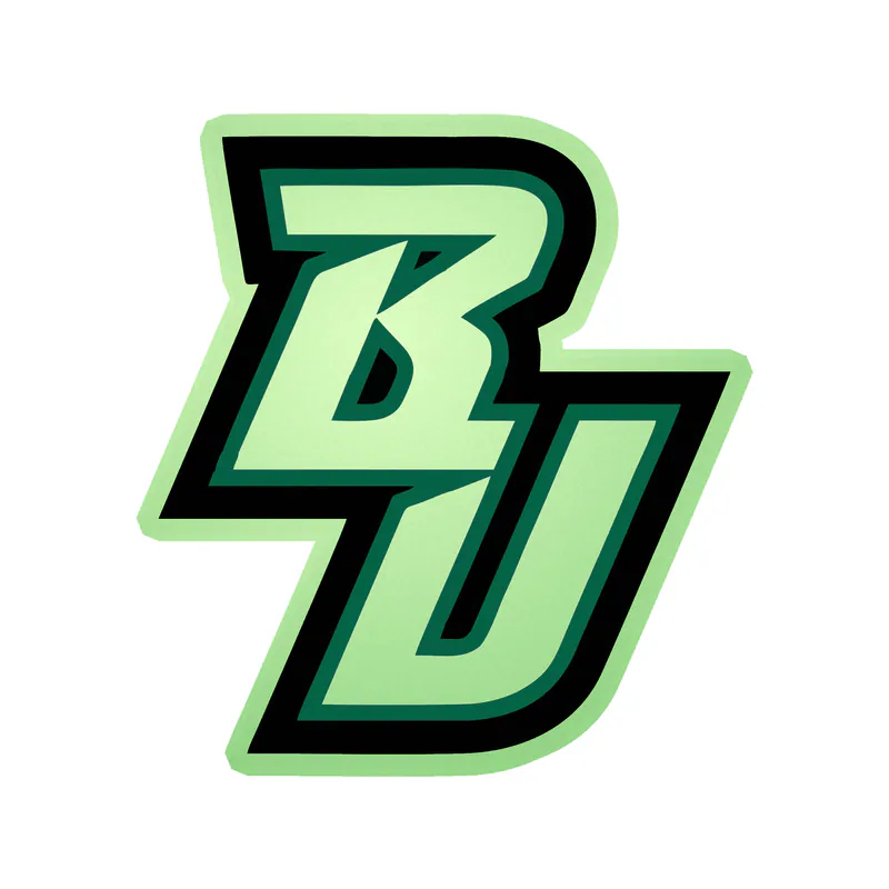 Binghamton Bearcats - Image 3 - Glow in the Dark Vinyl Decal - Custom Size