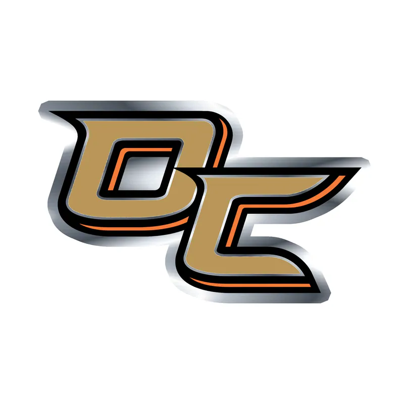 Anaheim Ducks - DC - Silver Chrome Vinyl Sticker - Custom Size