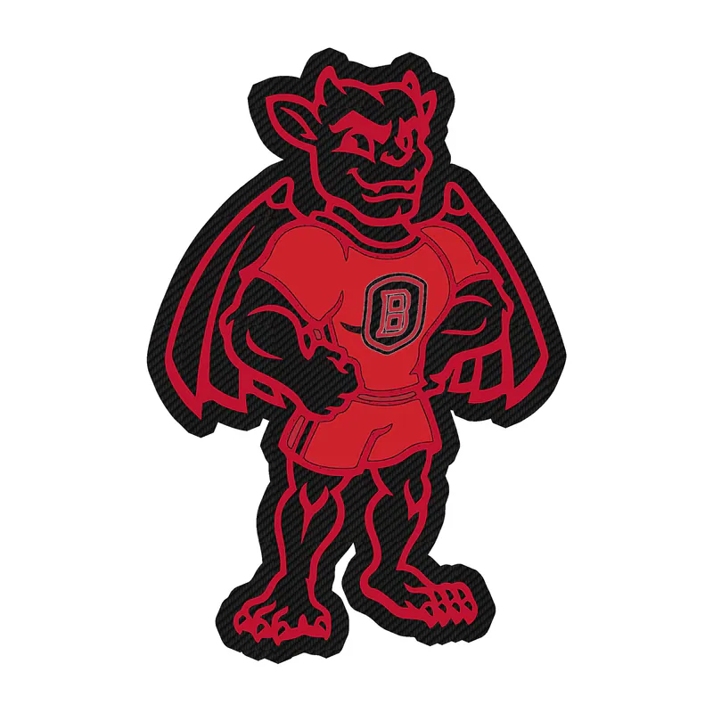 Bradley Braves - Image 2 - Carbon Fiber Vinyl Decal - Custom Size