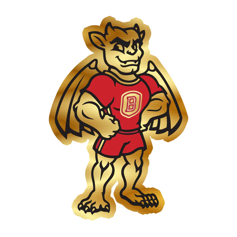 Bradley Braves - Image 2 - Gold Chrome Vinyl Decal - Custom Size