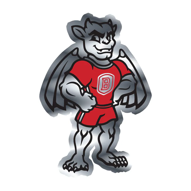 Bradley Braves - Image 2 - Silver Chrome Vinyl Decal - Custom Size