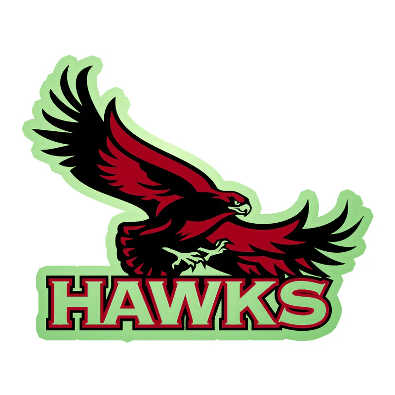 St. Joseph's Hawks - Image 1 - Glow in the Dark Vinyl Decal - Custom Size