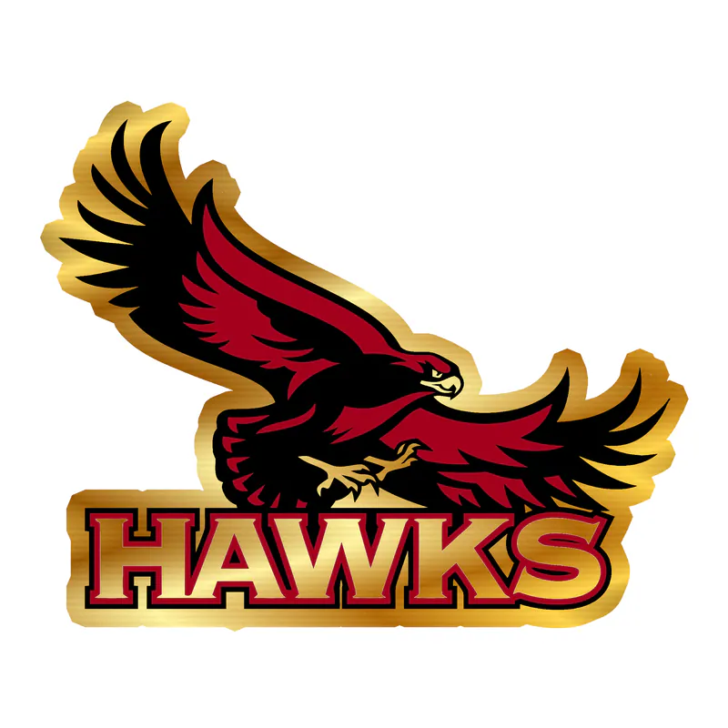 St. Joseph's Hawks - Image 1 - Gold Chrome Vinyl Decal - Custom Size