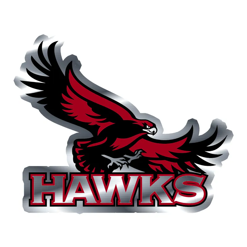 St. Joseph's Hawks - Image 1 - Silver Chrome Vinyl Decal - Custom Size