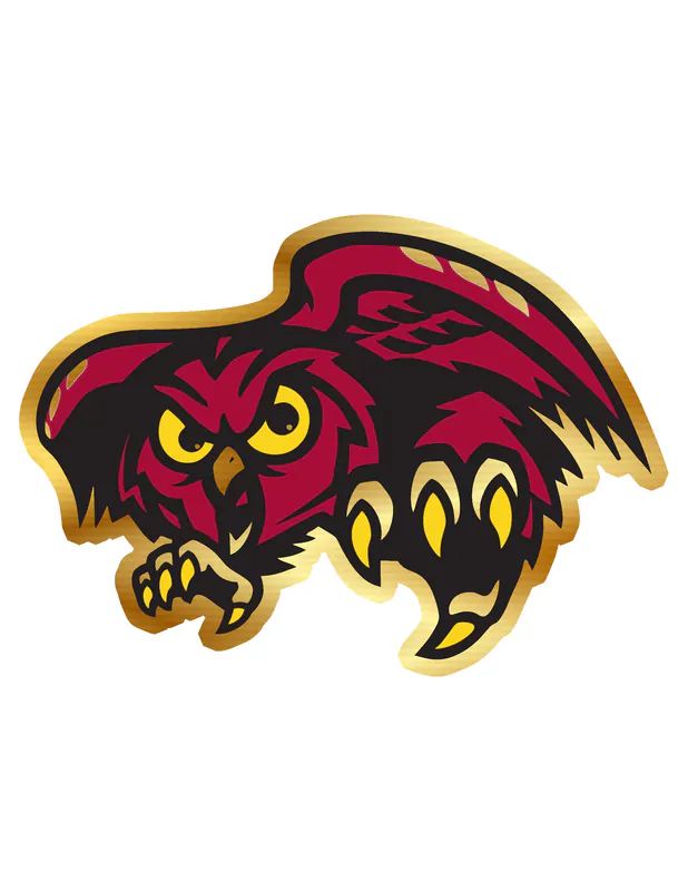 Temple University - Image 1 - Gold Chrome Vinyl Decal - Custom Size