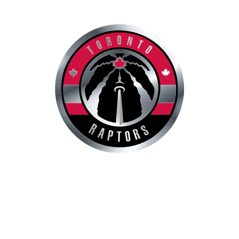 Toronto Raptors - Image 3 - Silver Chrome Vinyl Sticker - Custom Size