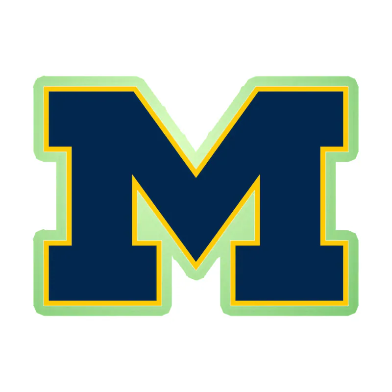 Michigan Wolverines - Image 1 - Glow in the Dark Vinyl Decal - Custom Size