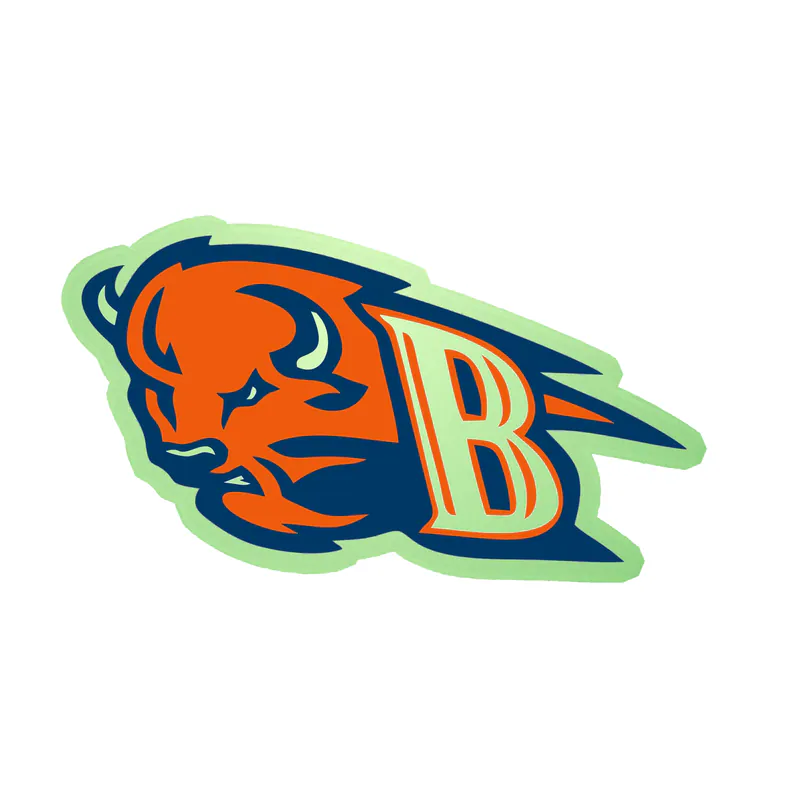 Bucknell Bison - Image 3 - Glow in the Dark Vinyl Decal - Custom Size