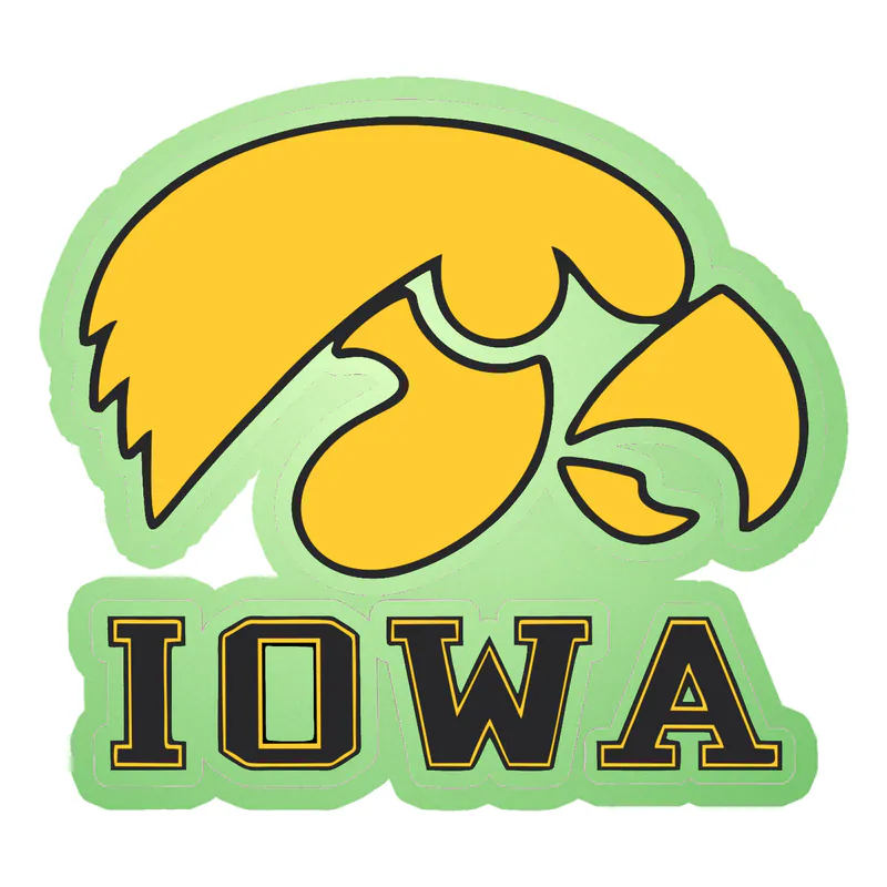 Iowa Hawkeyes - Yellow Hawk - Glow in the Dark Vinyl Decal - Custom Size