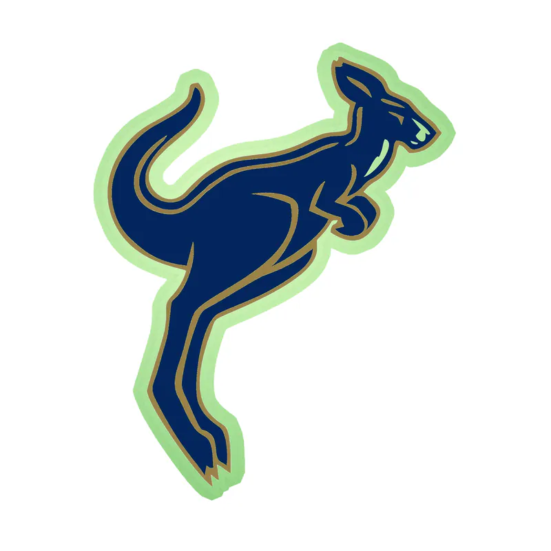 Akron Zips - Image 4 - Glow in the Dark Vinyl Decal - Custom Size