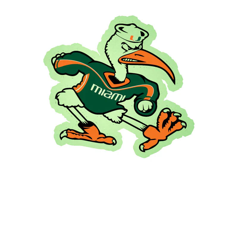 Miami Hurricanes - Image 2 - Glow in the Dark Vinyl Decal - Custom Size