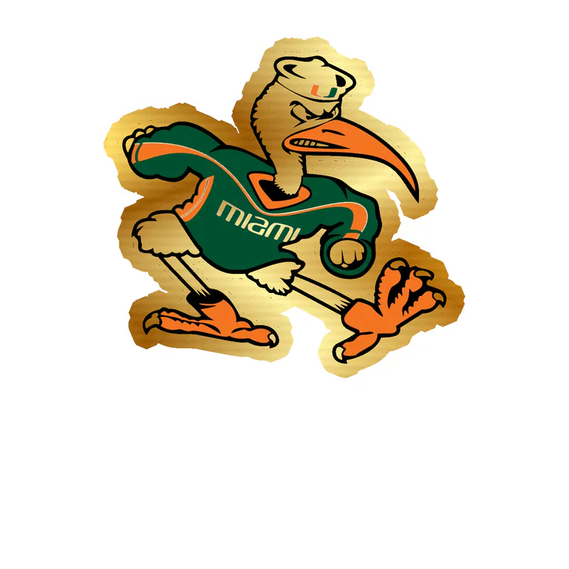 Miami Hurricanes - Image 2 - Gold Chrome Vinyl Decal - Custom Size