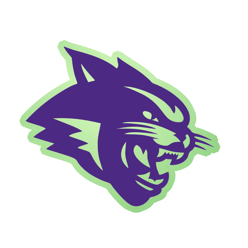 Abeline Christian Wildcats - Image 4 - Glow in the Dark Vinyl Decal - Custom Size