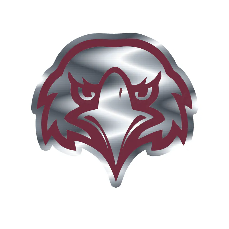 Eastern University - Eagle Head - Silver Chrome Vinyl Decal