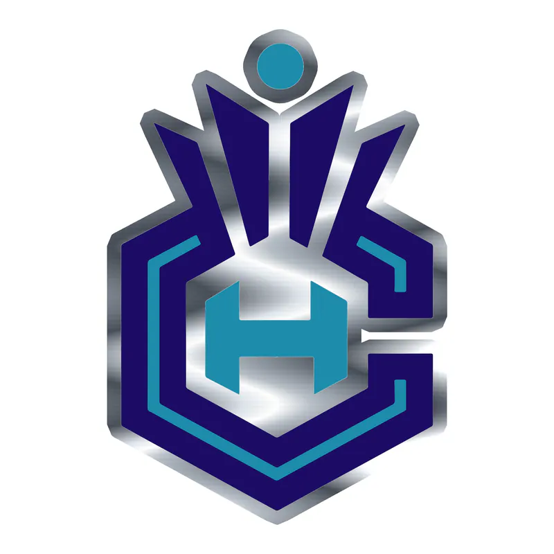 Charlotte hornets - CH - Silver Chrome Vinyl Sticker - Custom Size