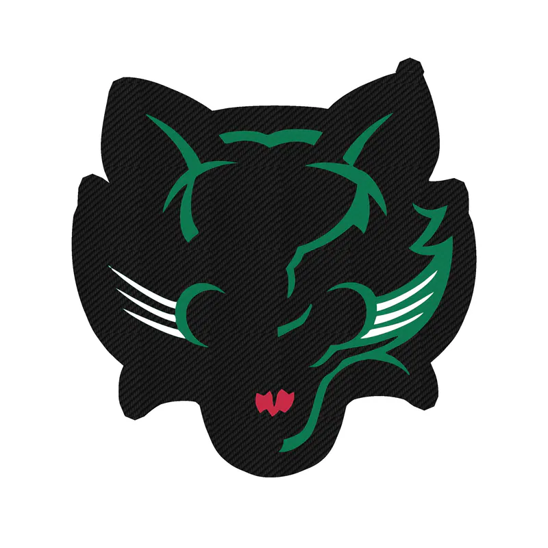 Binghamton Bearcats - Image 2 - Carbon Fiber Vinyl Decal - Custom Size