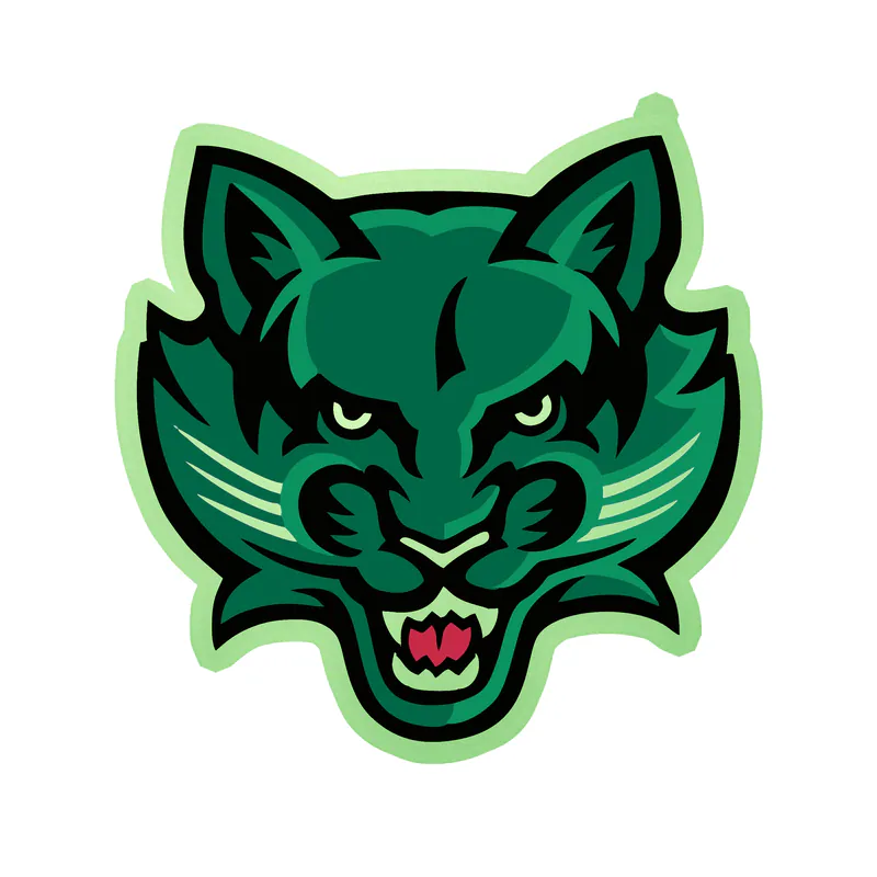 Binghamton Bearcats - Image 2 - Glow in the Dark Vinyl Decal - Custom Size