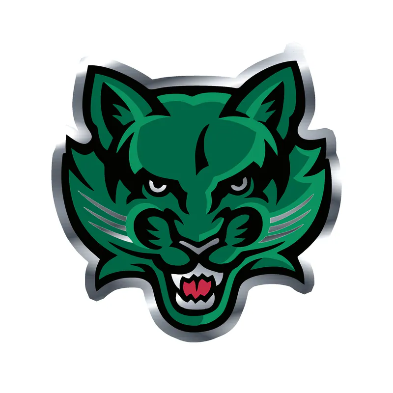 Binghamton Bearcats - Image 2 - Silver Chrome Vinyl Decal - Custom Size