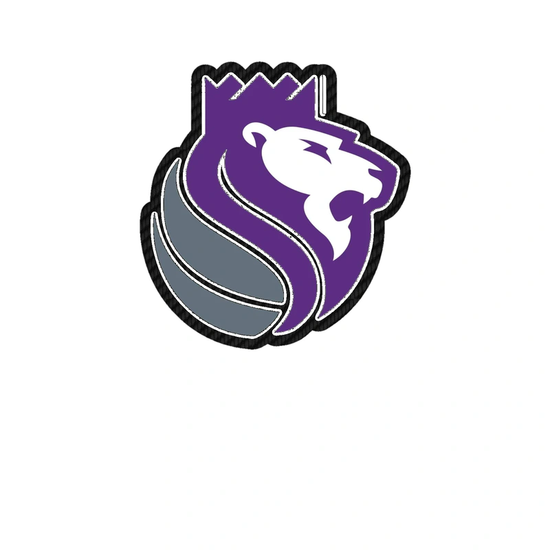 Sacramento Kings - Image 12 - Carbon Fiber Vinyl Sticker - Custom Size