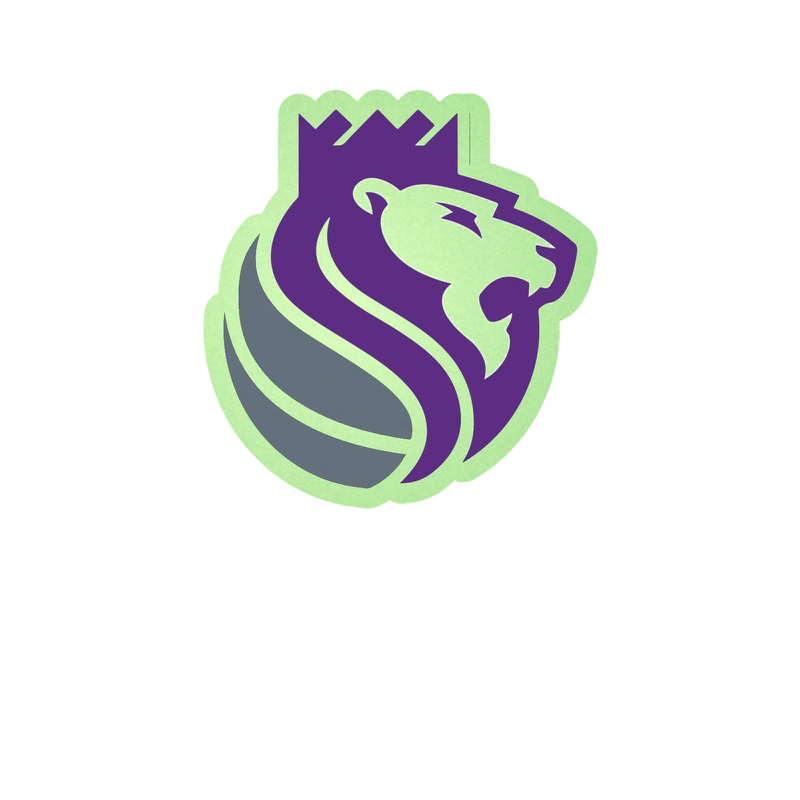 Sacramento Kings - Image 12 - Glow in the Dark Vinyl Sticker - Custom Size