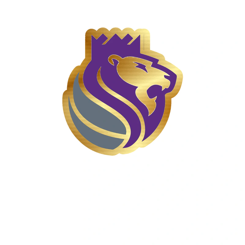 Sacramento Kings - Image 12 - Gold Chrome Vinyl Sticker - Custom Size