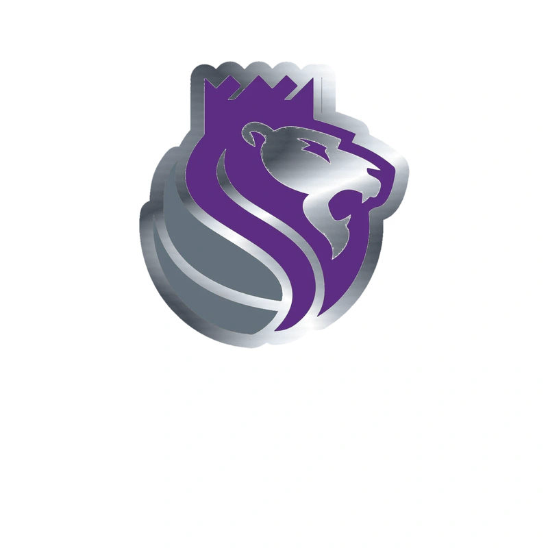 Sacramento Kings - Image 12 - Silver Chrome Vinyl Sticker - Custom Size