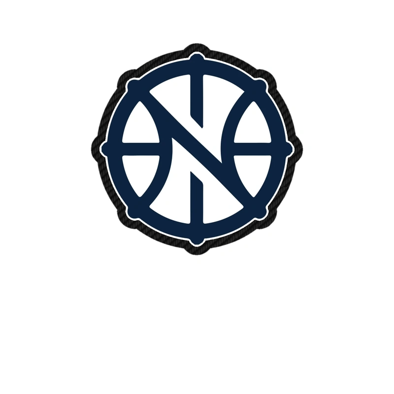 New Orleans Pelicans - Image 3 - Carbon Fiber Vinyl Sticker - Custom Size