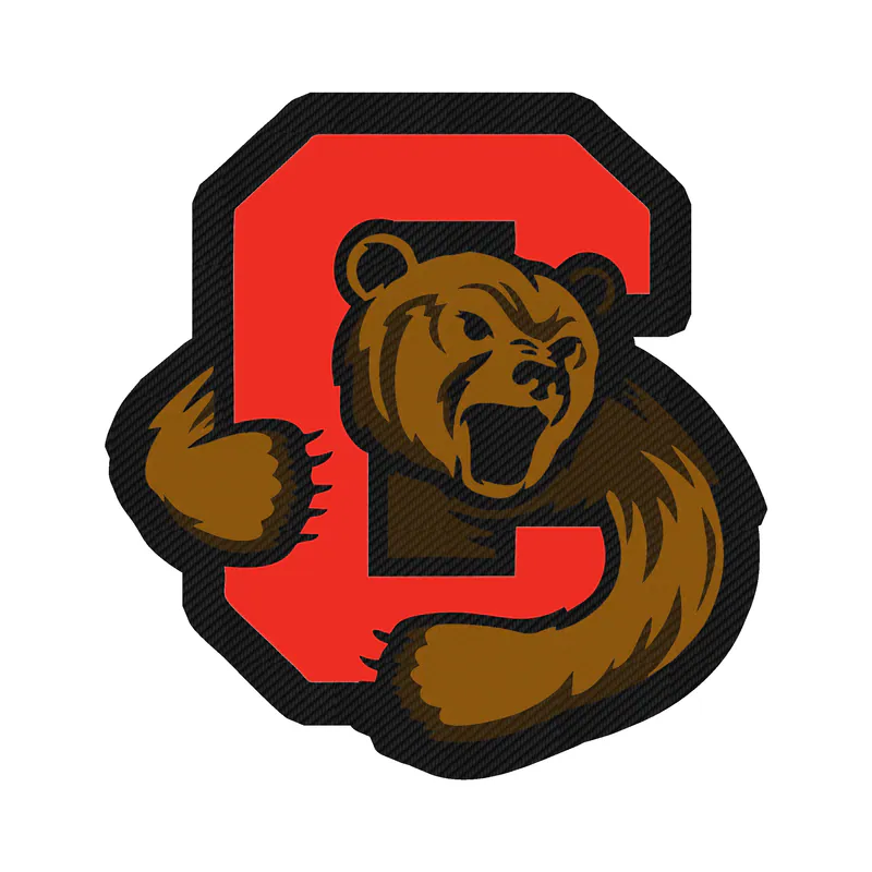 Cornell Big Red - Image 1 - Carbon Fiber Vinyl Decal - Custom Size