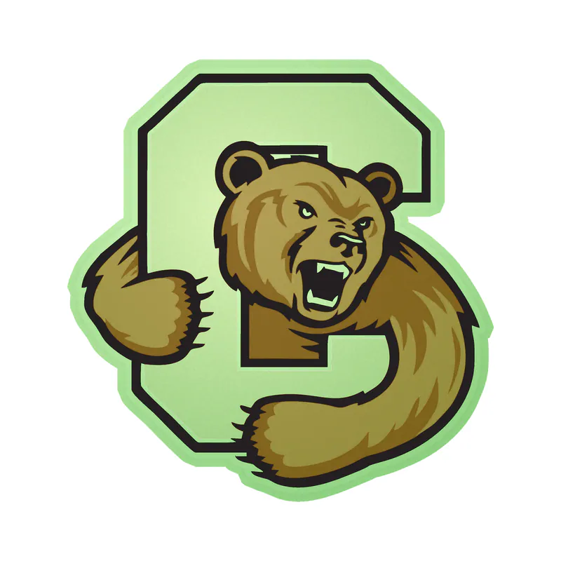 Cornell Big Red - Image 1 - Glow in the Dark Vinyl Decal - Custom Size