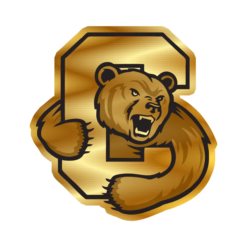Cornell Big Red - Image 1 - Gold Chrome Vinyl Decal - Custom Size