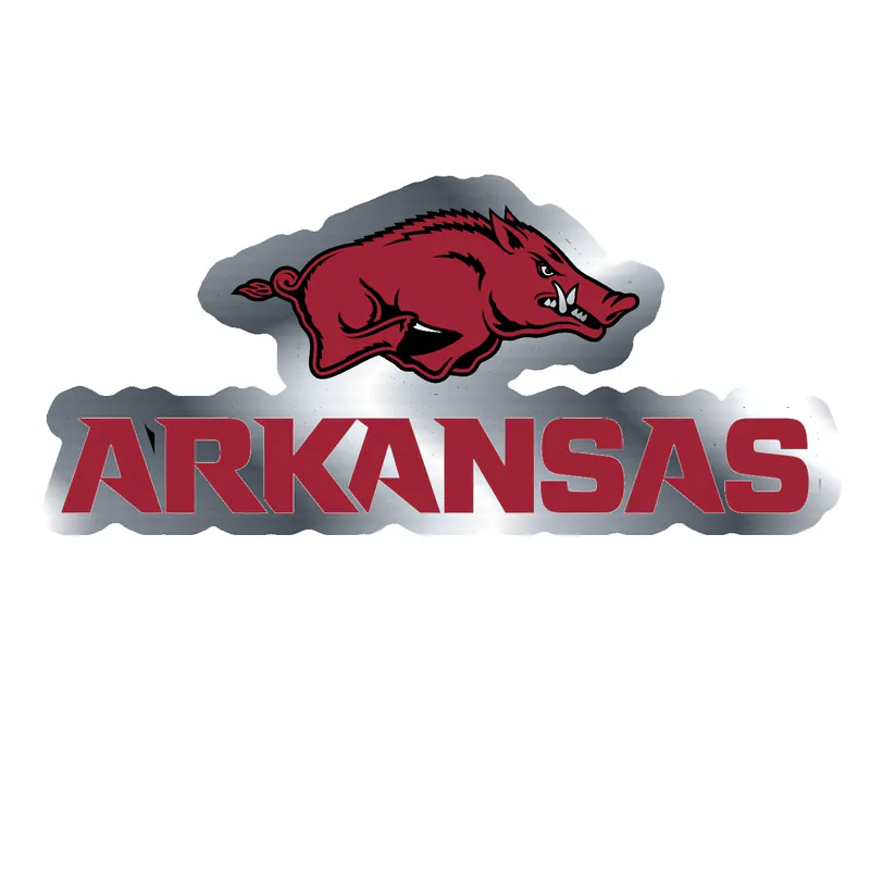 Arkansas Razorbacks - Image 13 - Silver Chrome Vinyl Decal - Custom Size